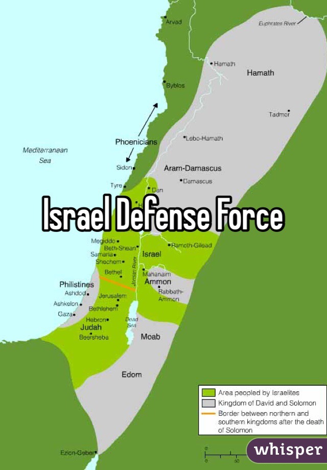 Israel Defense Force