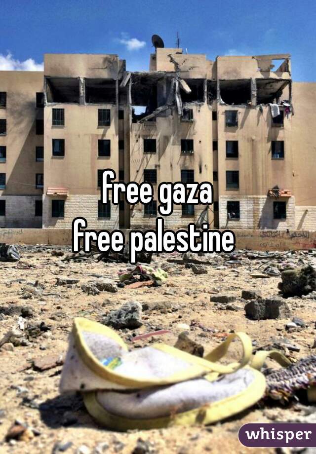 free gaza
free palestine 