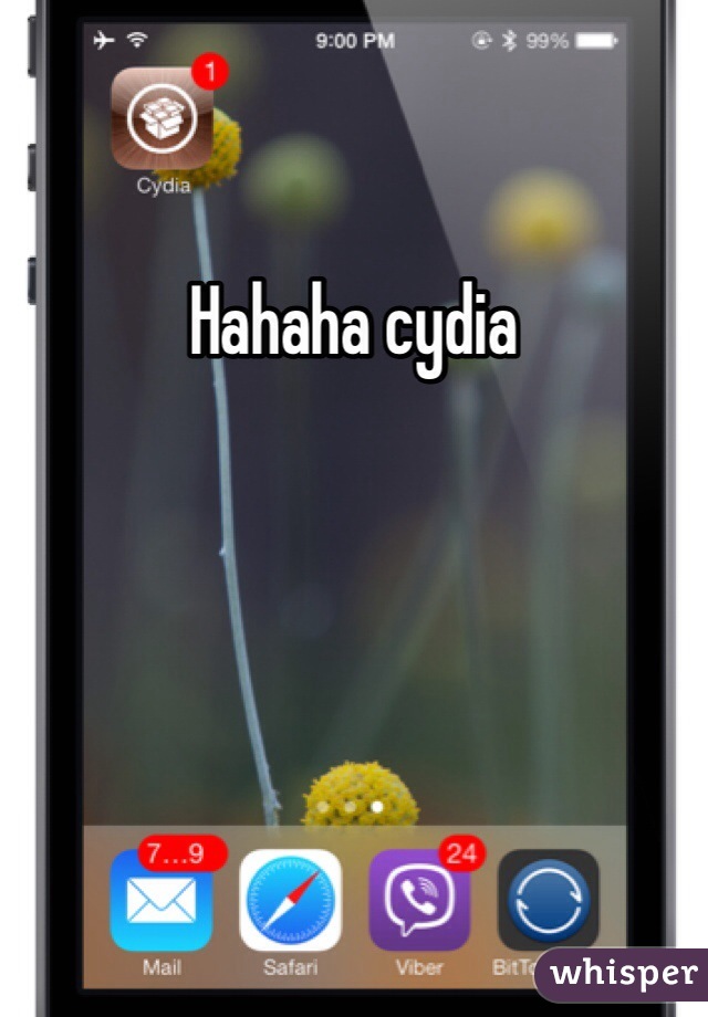 Hahaha cydia