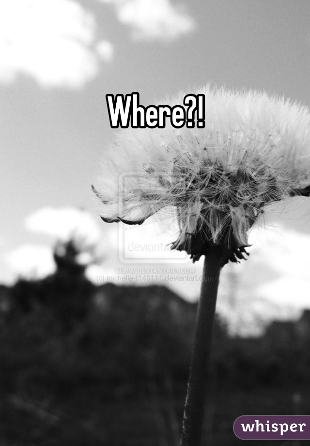 Where?!