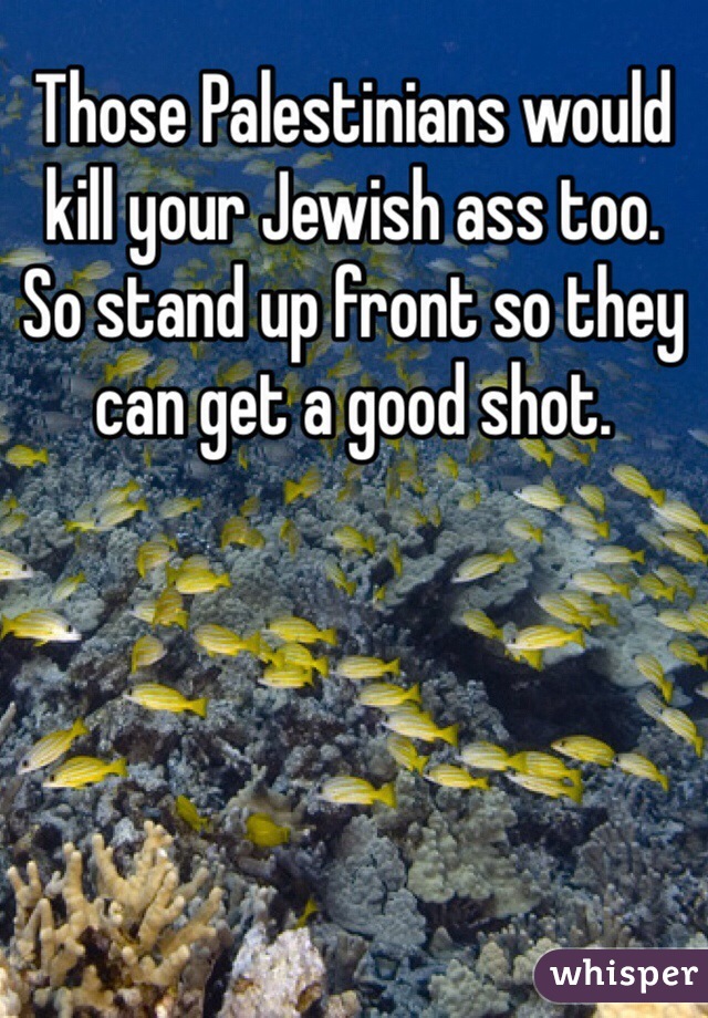 Those Palestinians would kill your Jewish ass too.  So stand up front so they can get a good shot.   