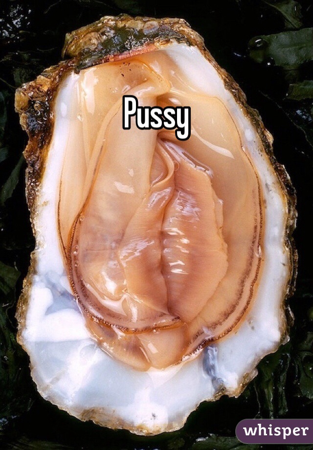 Pussy
