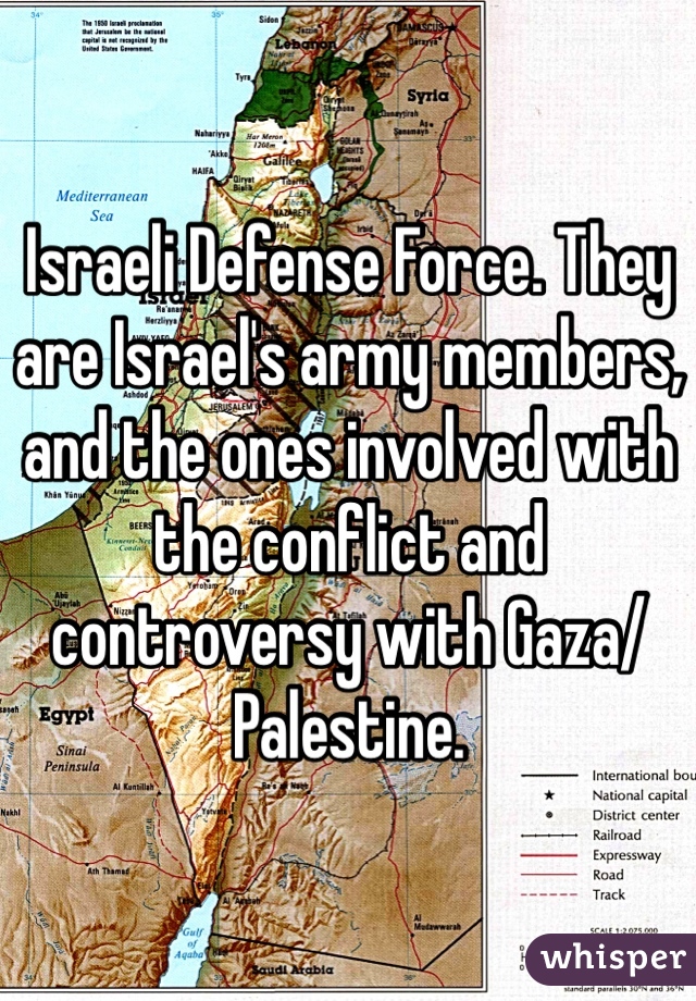 Israeli Defense Force. They are Israel's army members, and the ones involved with the conflict and controversy with Gaza/Palestine.