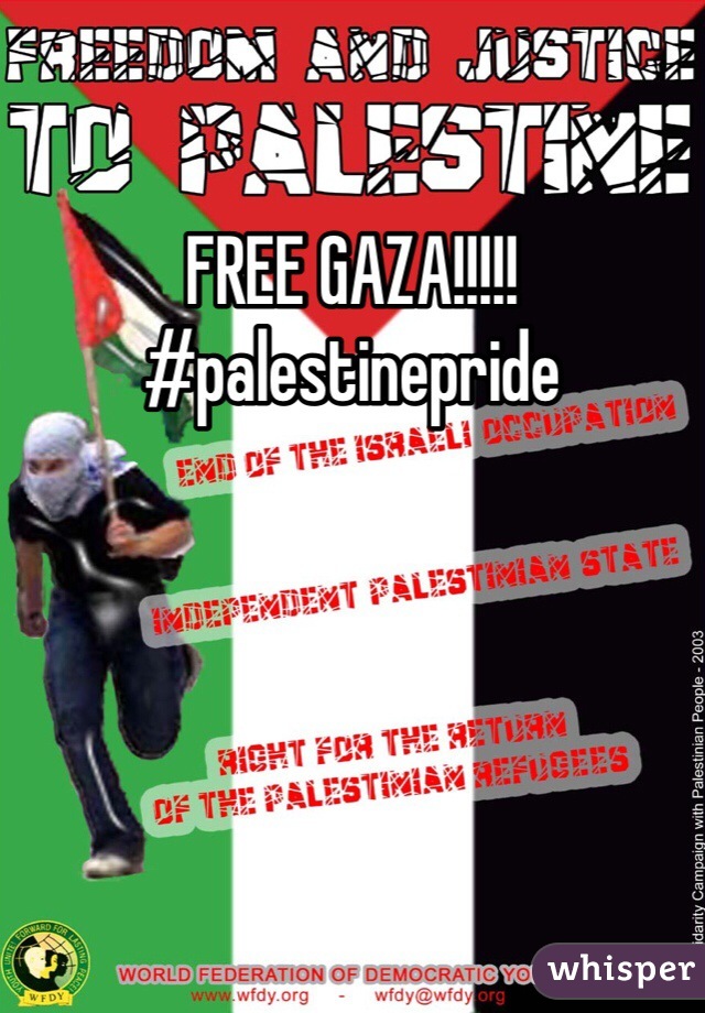 FREE GAZA!!!!! #palestinepride