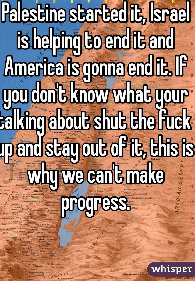 Palestine started it, Israel is helping to end it and America is gonna end it. If you don't know what your talking about shut the fuck up and stay out of it, this is why we can't make progress. 