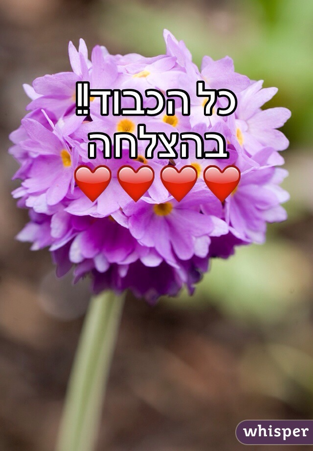 כל הכבוד!! בהצלחה ❤️❤️❤️❤️