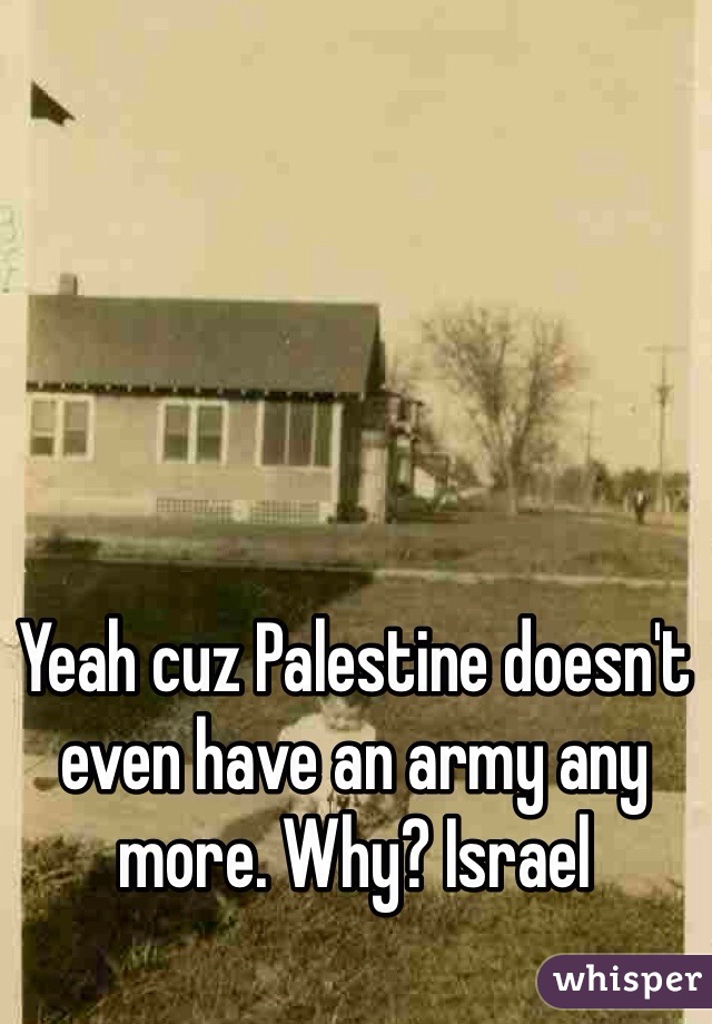 Yeah cuz Palestine doesn't even have an army any more. Why? Israel 