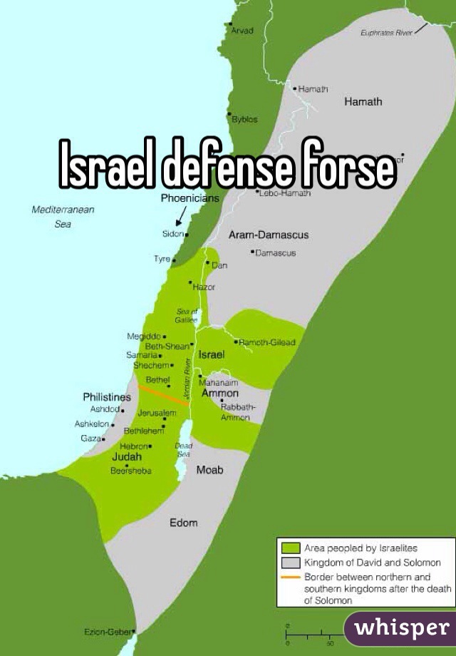 Israel defense forse