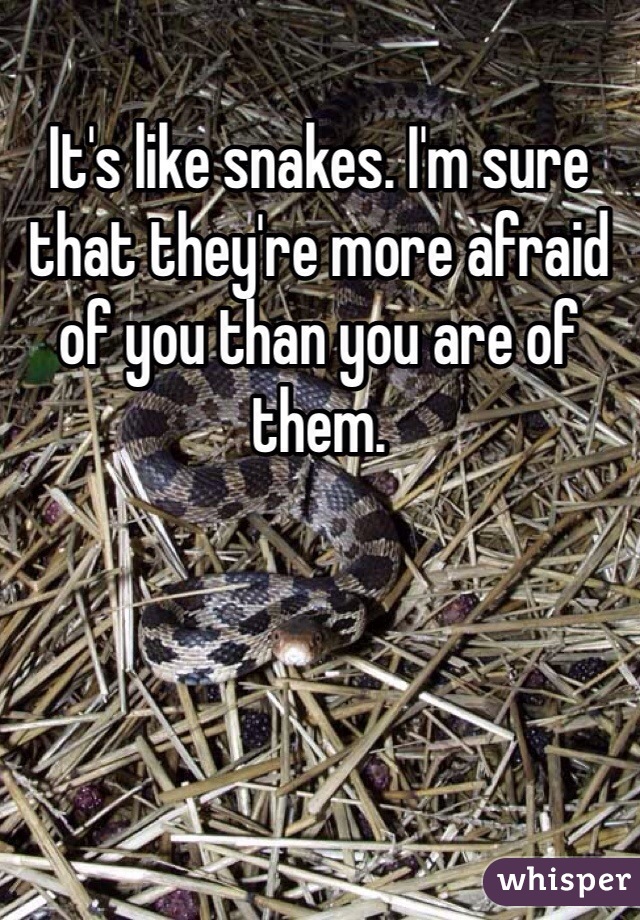 It's like snakes. I'm sure that they're more afraid of you than you are of them.