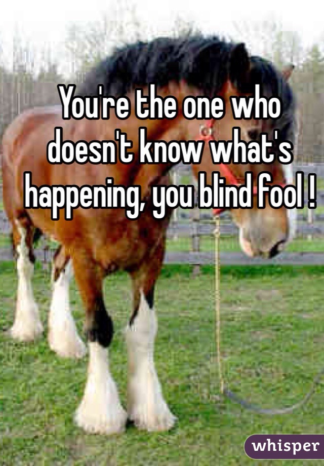 You're the one who doesn't know what's happening, you blind fool ! 