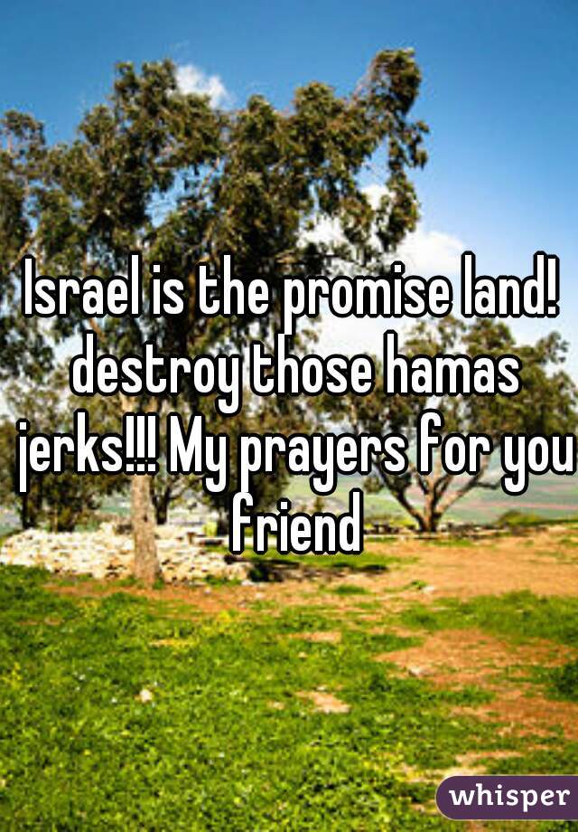 Israel is the promise land! destroy those hamas jerks!!! My prayers for you friend