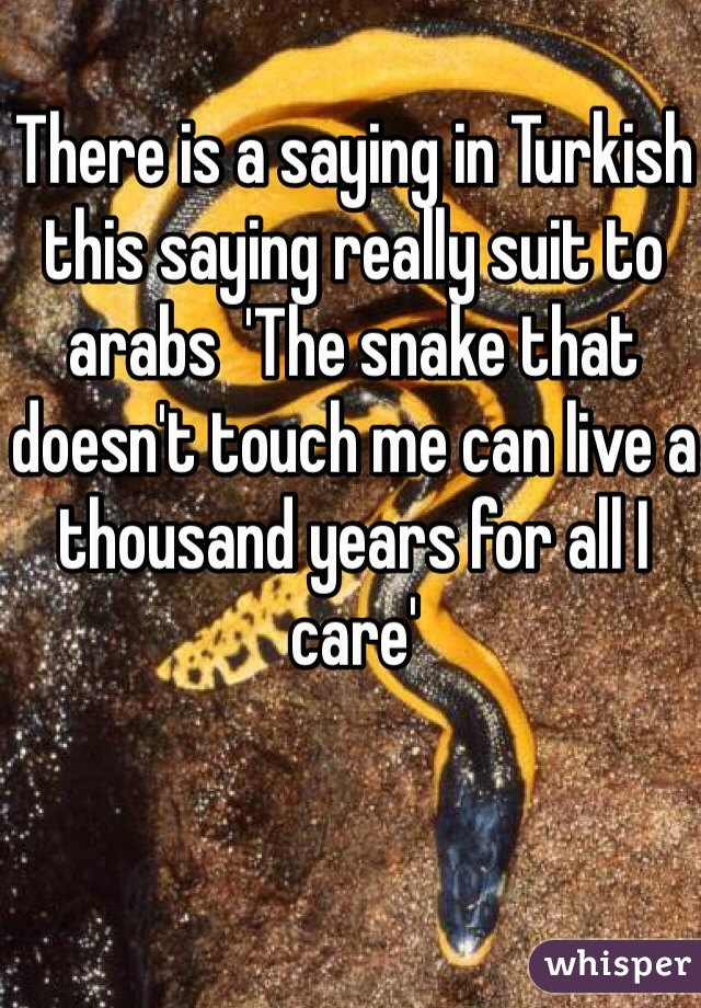 There is a saying in Turkish this saying really suit to arabs  'The snake that doesn't touch me can live a thousand years for all I care' 