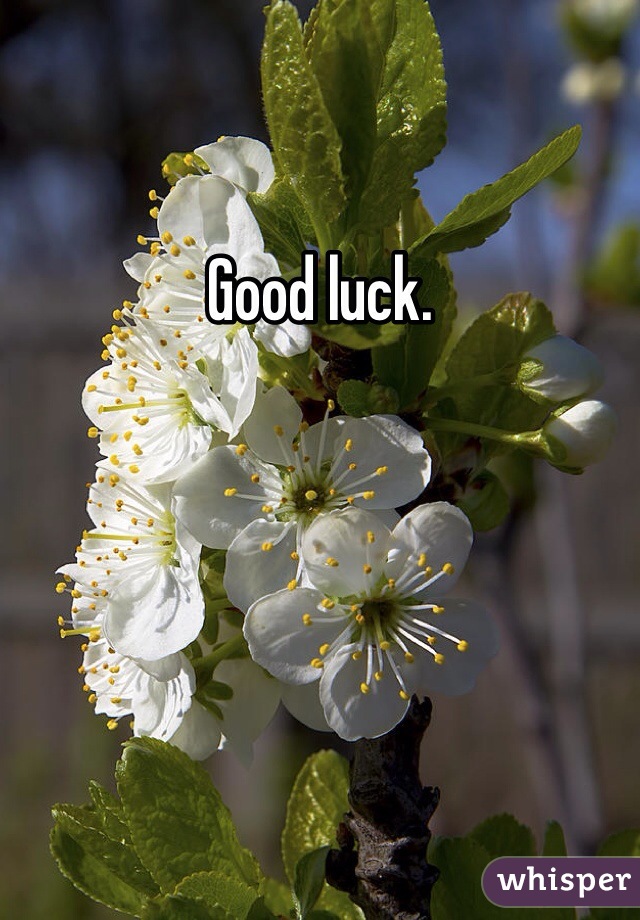 Good luck. 