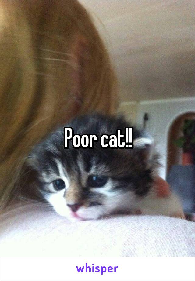 Poor cat!!