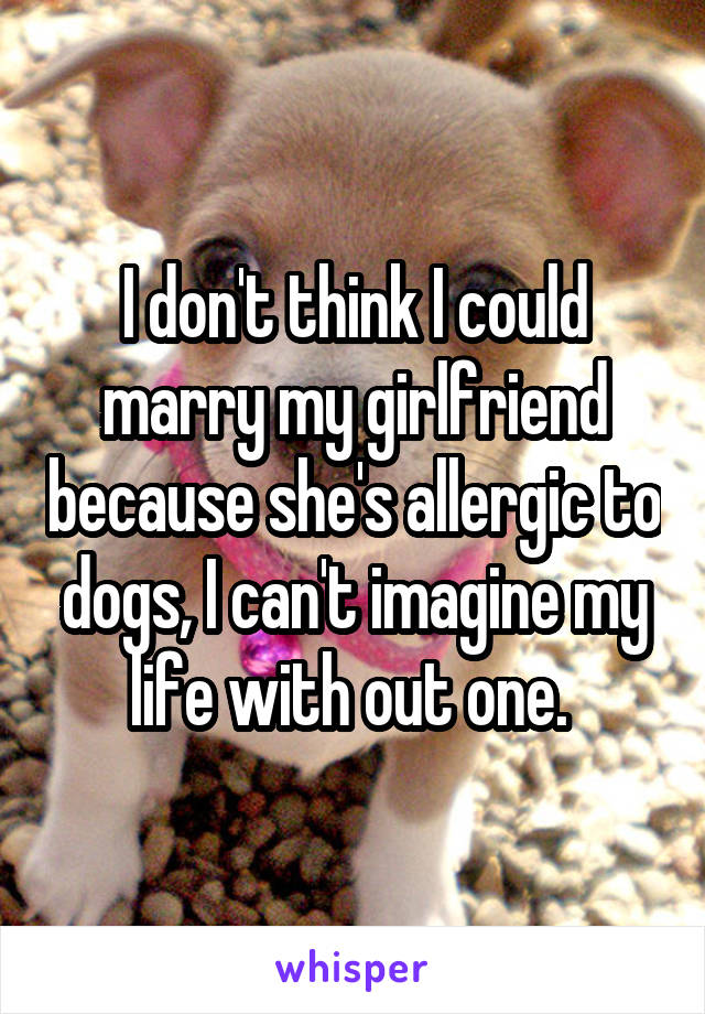 I don't think I could marry my girlfriend because she's allergic to dogs, I can't imagine my life with out one. 