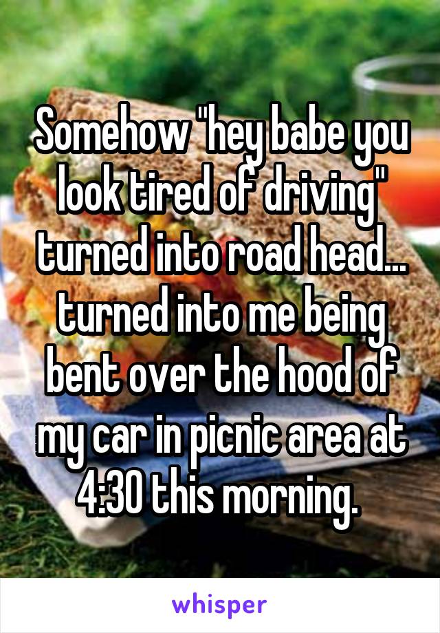 Somehow "hey babe you look tired of driving" turned into road head... turned into me being bent over the hood of my car in picnic area at 4:30 this morning. 
