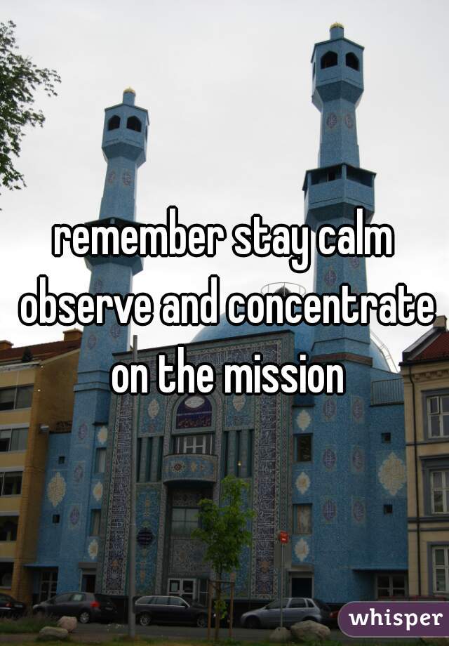 remember stay calm observe and concentrate on the mission