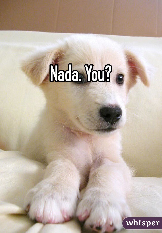 Nada. You?