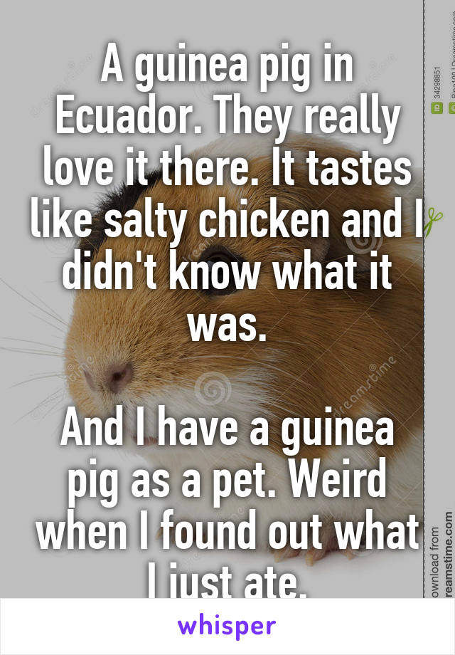 A guinea pig in Ecuador. They really love it there. It tastes like salty chicken and I didn't know what it was.

And I have a guinea pig as a pet. Weird when I found out what I just ate.