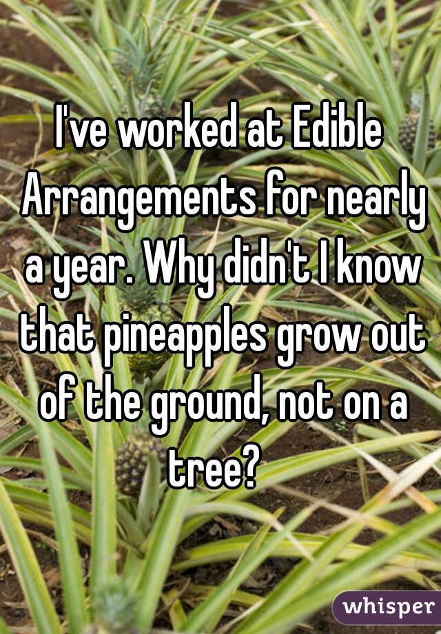 I've worked at Edible Arrangements for nearly a year. Why didn't I know that pineapples grow out of the ground, not on a tree?  