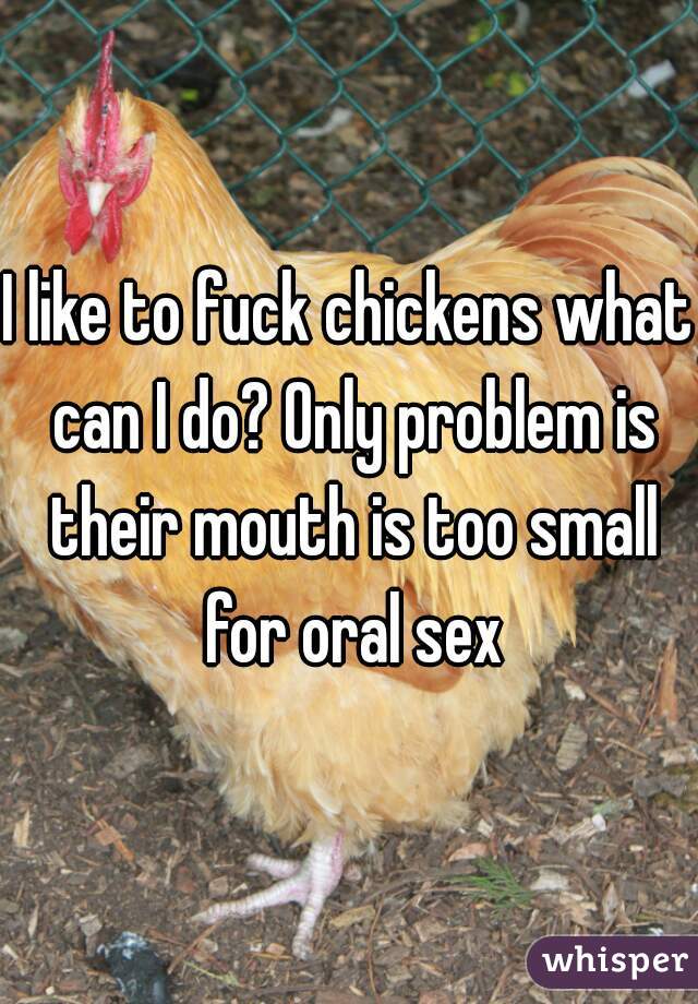 I like to fuck chickens what can I do? Only problem is their mouth is too small for oral sex