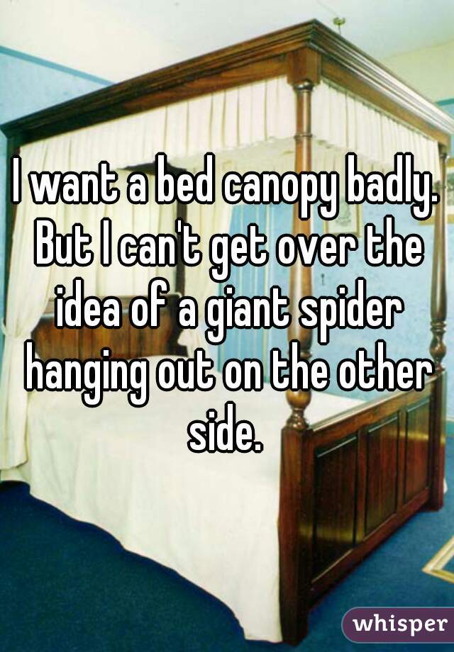 I want a bed canopy badly. But I can't get over the idea of a giant spider hanging out on the other side. 
