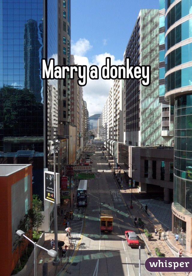 Marry a donkey