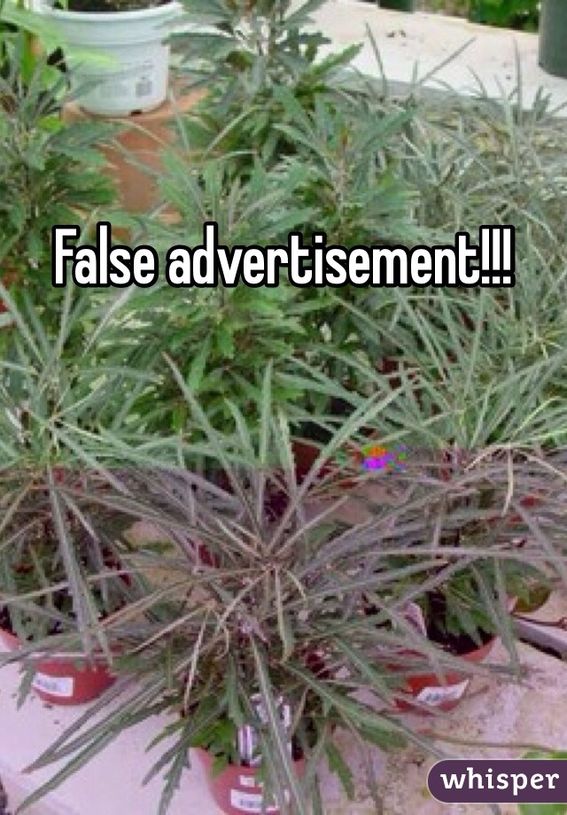 False advertisement!!!