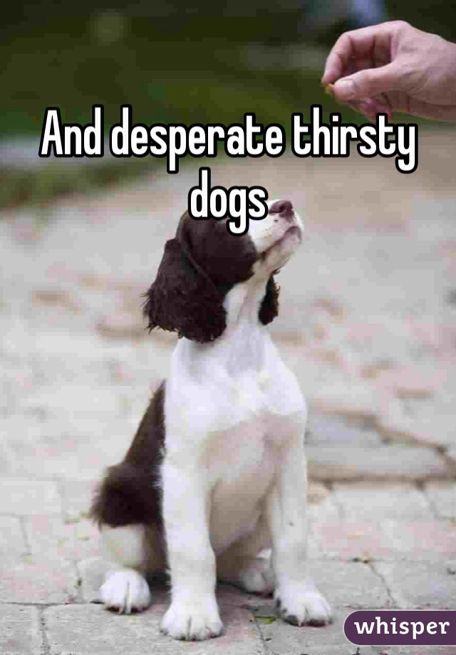 And desperate thirsty dogs 