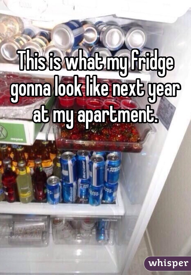 This is what my fridge gonna look like next year at my apartment. 