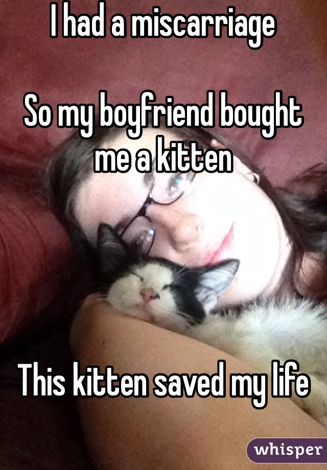 I had a miscarriage 

So my boyfriend bought me a kitten
 



This kitten saved my life 