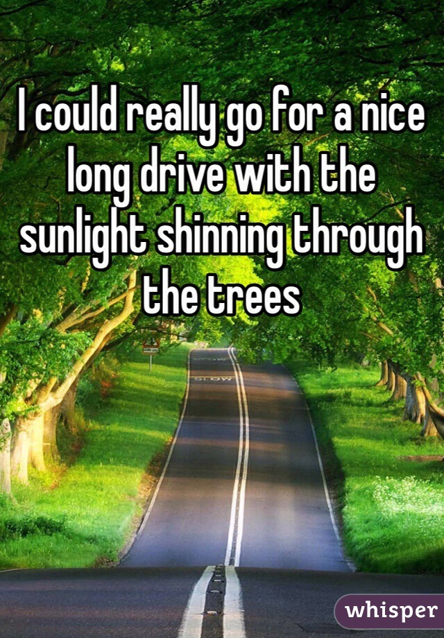 I could really go for a nice long drive with the sunlight shinning through the trees