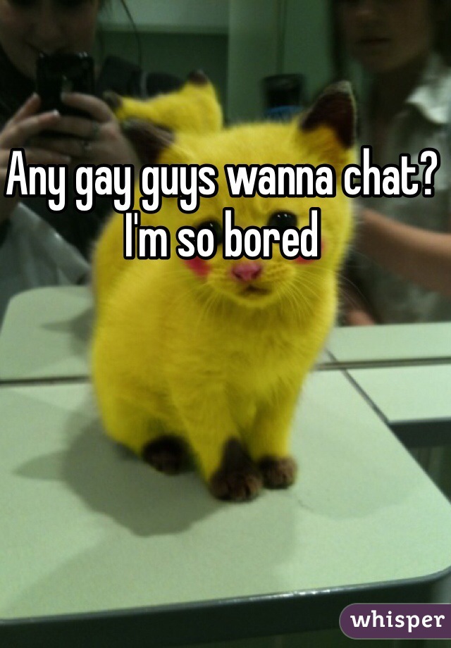 Any gay guys wanna chat? I'm so bored