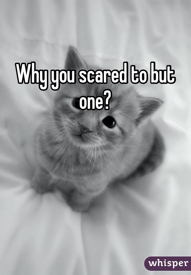 Why you scared to but one? 