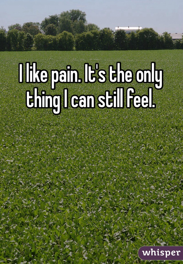 I like pain. It's the only thing I can still feel.