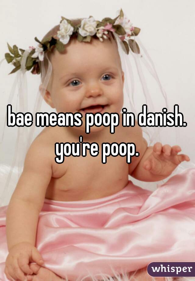 bae means poop in danish. you're poop. 