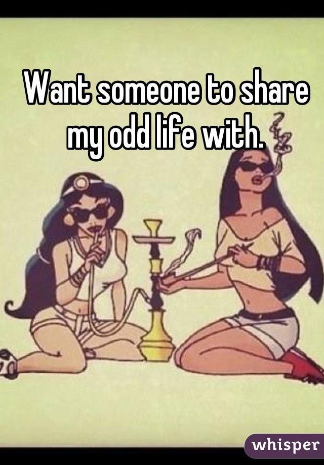 Want someone to share my odd life with.