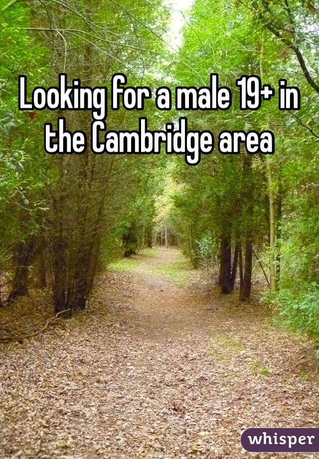 Looking for a male 19+ in the Cambridge area