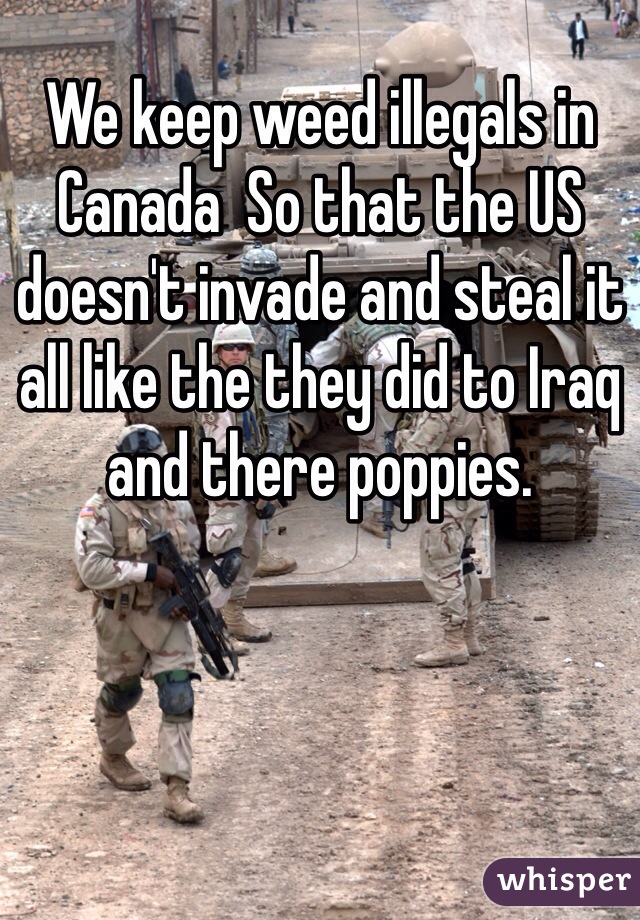 We keep weed illegals in Canada  So that the US doesn't invade and steal it all like the they did to Iraq and there poppies.