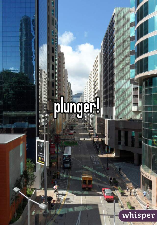 plunger! 