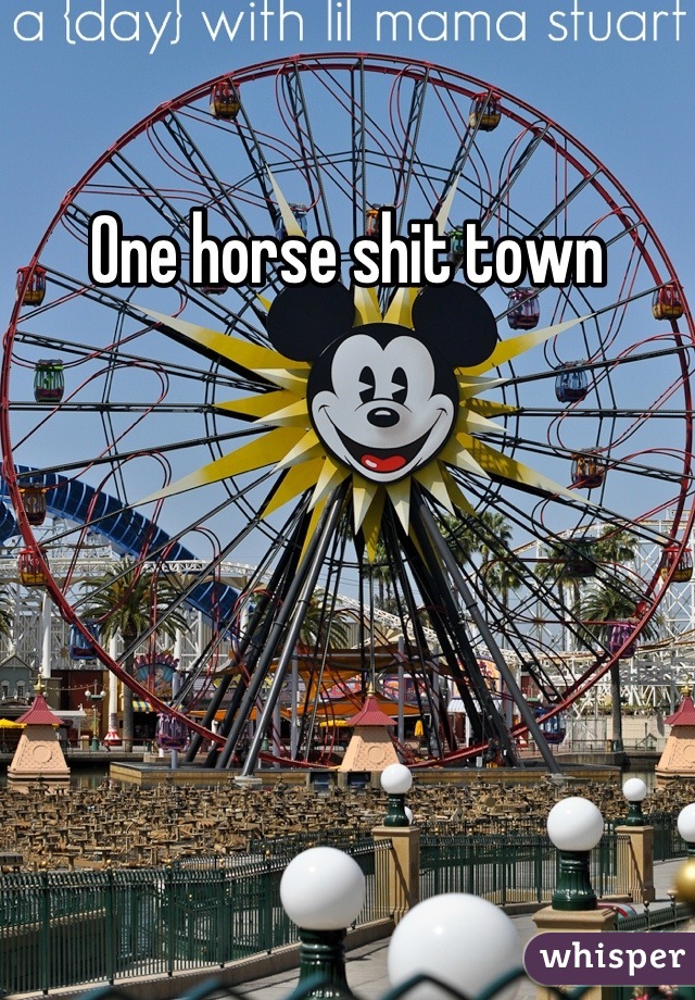 One horse shit town