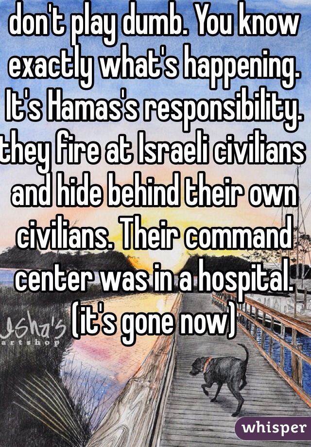 don't play dumb. You know exactly what's happening. It's Hamas's responsibility. they fire at Israeli civilians and hide behind their own civilians. Their command center was in a hospital. (it's gone now)