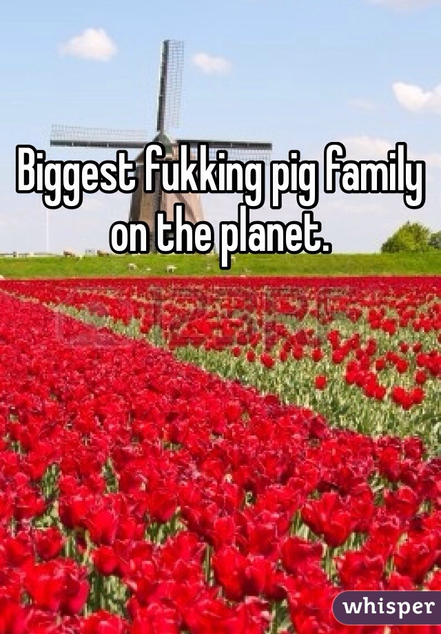 Biggest fukking pig family on the planet. 