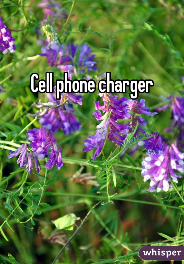 Cell phone charger