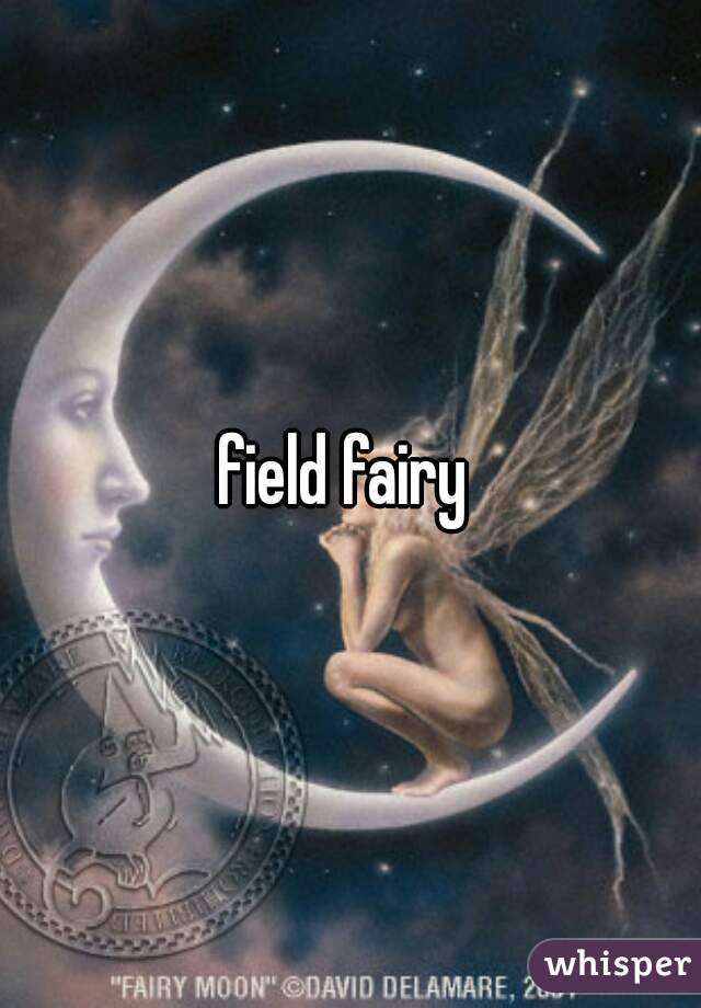 field fairy 