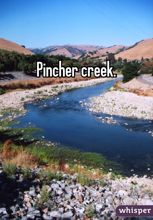 Pincher creek. 