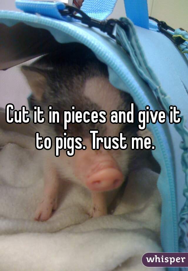 Cut it in pieces and give it to pigs. Trust me.