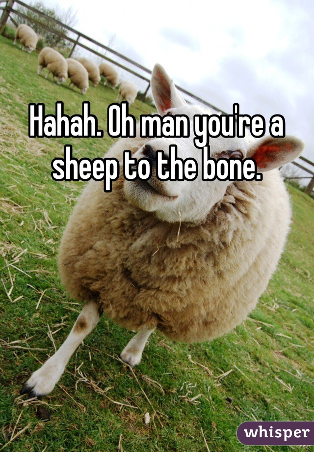 Hahah. Oh man you're a sheep to the bone. 