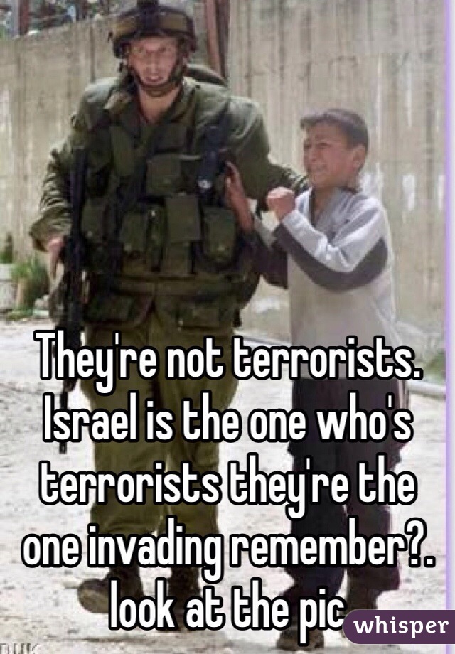 They're not terrorists. Israel is the one who's terrorists they're the one invading remember?. look at the pic