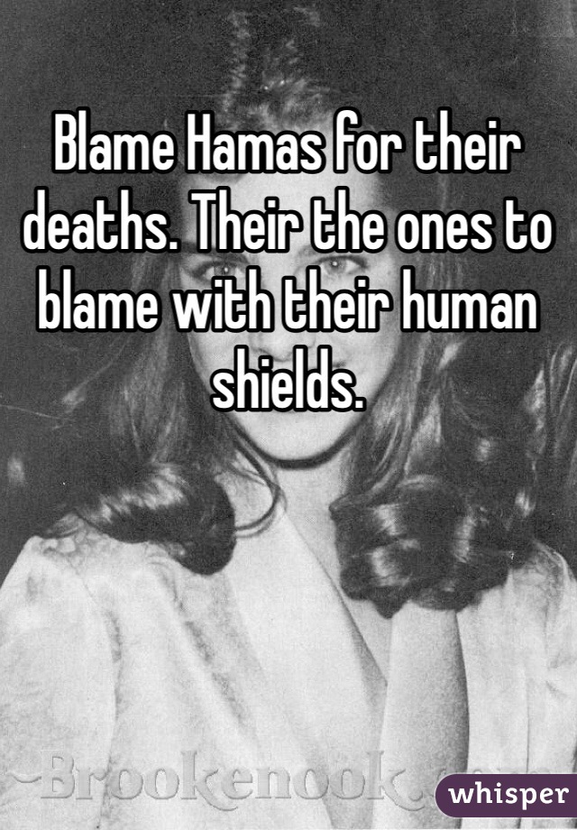 Blame Hamas for their deaths. Their the ones to blame with their human shields.